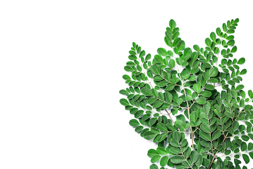 MORINGA-BENEFITS-FOR-SKIN