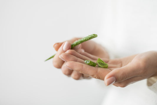 Have You Tried Aloe Vera for Face? Here’s Why You Should!